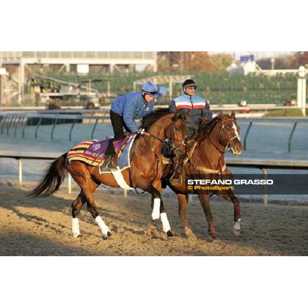 Echo of Light preparing for morning works Louisville , Churchill Downs, 3rd nov. 2006 ph. Stefano Grasso