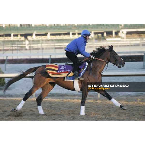 Echo of Light during morning works Louisville , Churchill Downs, 3rd nov. 2006 ph. Stefano Grasso