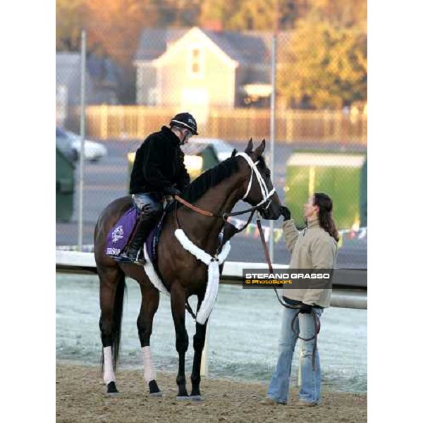 Invasor preparing for morning works Louisville , Churchill Downs, 3rd nov. 2006 ph. Stefano Grasso