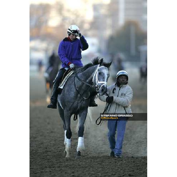coming back after morning works Louisville , Churchill Downs, 3rd nov. 2006 ph. Stefano Grasso