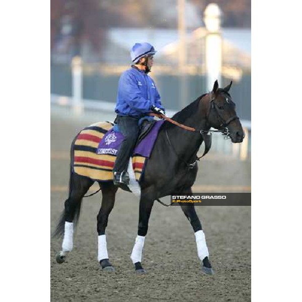 Librettist preparing for morning works Louisville , Churchill Downs, 3rd nov. 2006 ph. Stefano Grasso