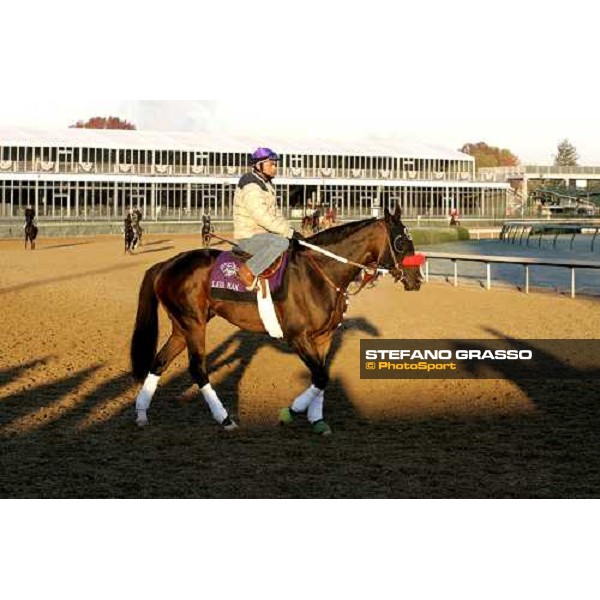 Lava Man preparing for morning works Louisville , Churchill Downs, 3rd nov. 2006 ph. Stefano Grasso