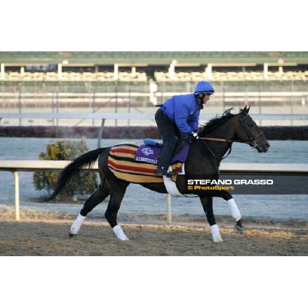 Librettist during morning works Louisville , Churchill Downs, 3rd nov. 2006 ph. Stefano Grasso