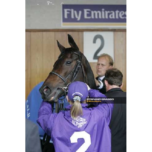 Jonh Dunlop prepares Oujia Board before the Emirates Airline Breeders\' Cup Filly \' Mare Turf Louisville Churchill Downs, 4th nov. 2006 ph. Stefano Grasso