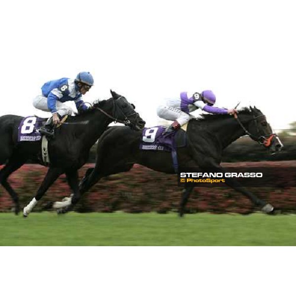 Frankie Dettori on Red Rocks wins the John Deere Breeders\' Cup Turf beating Better Talk Now Louisville Churchill Downs, 4th nov. 2006 ph. Stefano Grasso