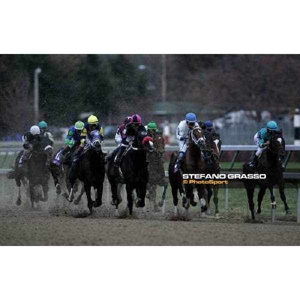 the horses of Breeders\' Cup Classic after the start Louisville Churchill Downs, 4th nov. 2006 ph. Stefano Grasso