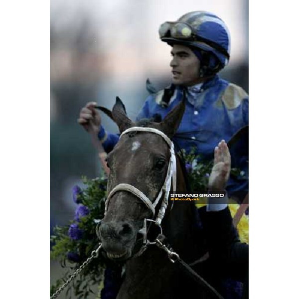 close up for Invasor and Fernando Jara winners of Breeders\' Cup Classic Louisville Churchill Downs, 4th nov. 2006 ph. Stefano Grasso