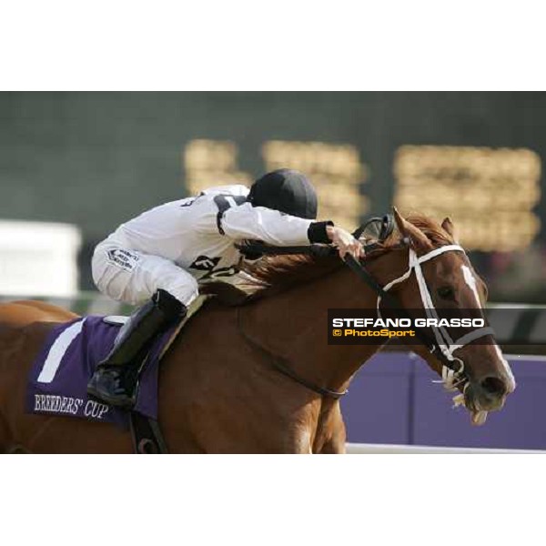 Breeders\' Cup Juvenile Fillies - Rene Douglas on Dreaming of Anna wins the race. Louisville Churchill Downs - 4th nov. 2006 ph. Stefano Grasso