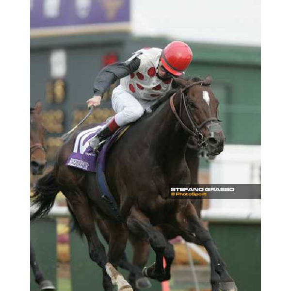 Miesque\'s Approval with Eddie Castro wins the Netjets Breeders\' Cup Mile Louisville Churchill Downs, 4th nov. 2006 ph. Stefano Grasso