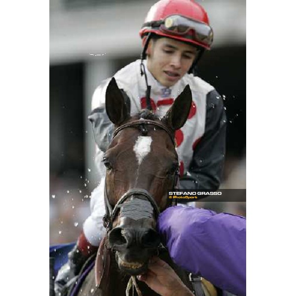 close up for Miesque\'s Approval with Eddie Castro winners of Netjets Breeders\' Cup Mile Louisville Churchill Downs, 4th nov. 2006 ph. Stefano Grasso