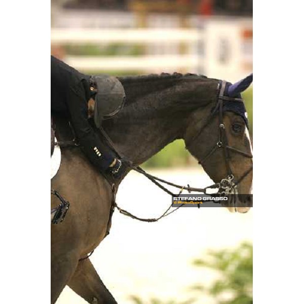 Jonella Ligresti on Nanta during Fei World Cup 2006 - Verona Verona, 12th nov. 2006 ph. Stefano Grasso