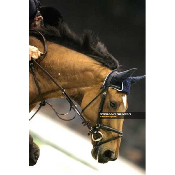 Giorgio Nuti on Jeff du Boele during Fei World Cup 2006 - Verona Verona, 12th nov. 2006 ph. Stefano Grasso