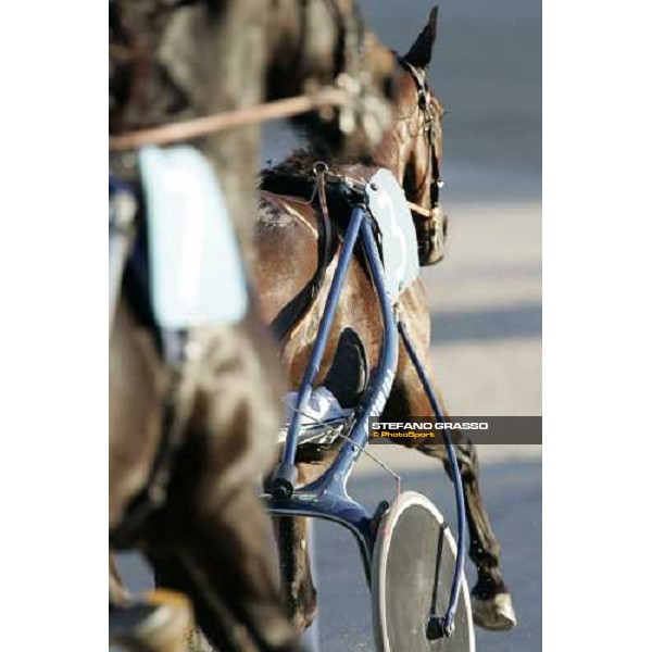 close up for Giulia Grif winner of Gran Premio Orsi Mangelli Milan San Siro, 1st nov. 2006 ph. Stefano Grasso