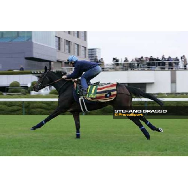 Frankie Dettori on Oujia Board flyes onthe stretch of Fuchu racecourse during morning track works Tokyo, 23rd nov.2006 ph. Stefano Grasso