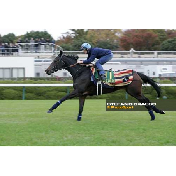 Frankie Dettori on Oujia Board flyes on the stretch of Fuchu racecourse during morning track works Tokyo, 23rd nov.2006 ph. Stefano Grasso