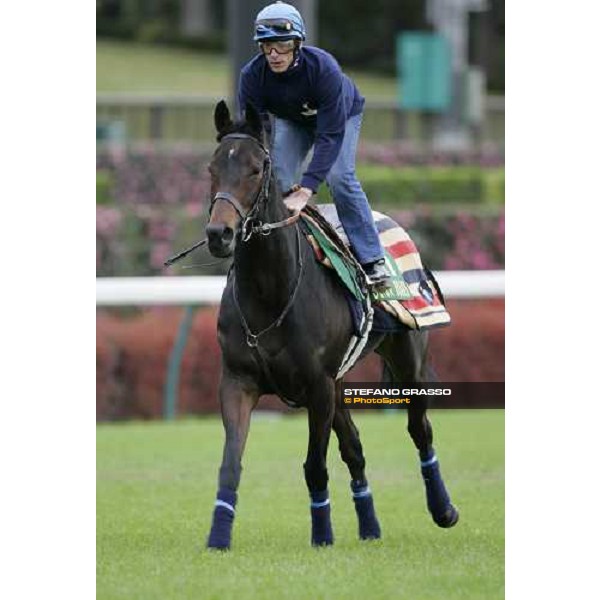 Frankie Dettori with Oujia Board stretching at Fuchu racecourse before very good morning trackworks Tokyo, 23rd nov.2006 ph. Stefano Grasso