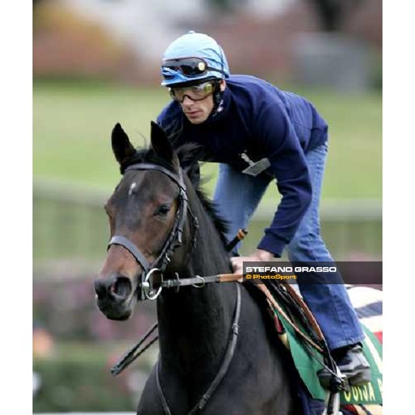 close up for Frankie Dettori with Oujia Board at Fuchu racecourse during very good morning trackworks Tokyo, 23rd nov.2006 ph. Stefano Grasso