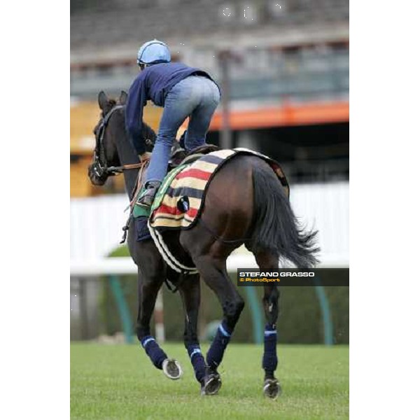 Frankie Dettori with Oujia Board stretching at Fuchu racecourse before the very good morning trackworks Tokyo, 23rd nov.2006 ph. Stefano Grasso