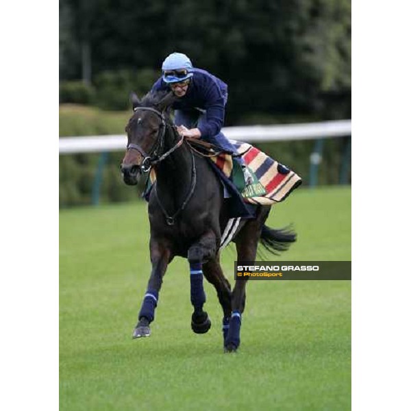 Frankie Dettori with Oujia Board flying on the stretch of Fuchu racecourse during very good morning trackworks Tokyo, 23rd nov.2006 ph. Stefano Grasso