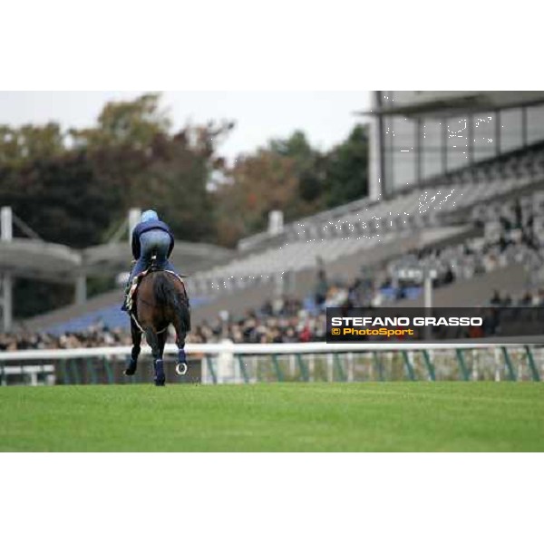 Frankie Dettori with Oujia Board on the strecht of Fuchu racecourse during good morning trackworks Tokyo, 23rd nov.2006 ph. Stefano Grasso