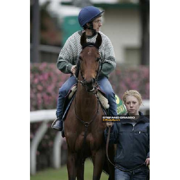 Claude Lenoir on Freedonia preparing for morning trackworks at Tokyo racecourse Tokyo, 23rd nov.2006 ph. Stefano Grasso