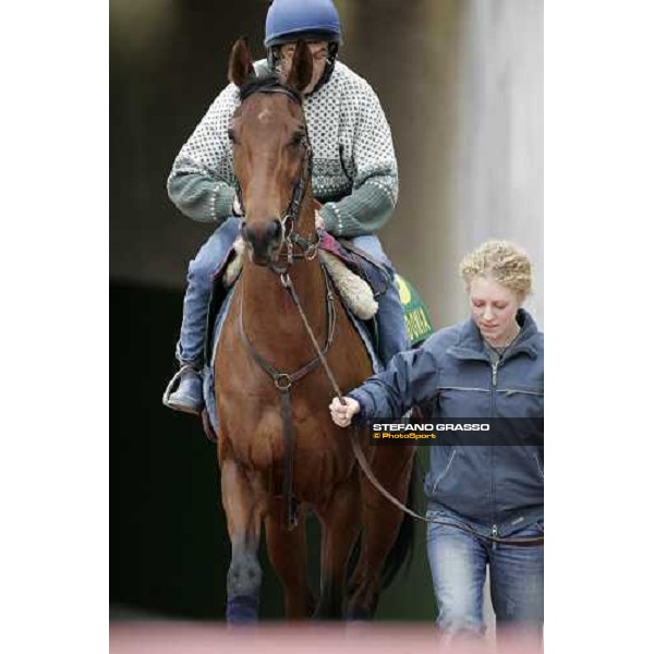 Claude Lenoir on Freedonia and the groom come out of the tunnel after walking on the dirt at Tokyo racecourse Tokyo, 23rd nov.2006 ph. Stefano Grasso