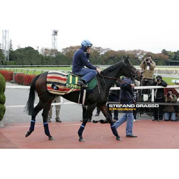 Frankie Dettori on Oujia Board enters the track of Fuchu racecourse before morning track works Tokyo, 23rd nov.2006 ph. Stefano Grasso