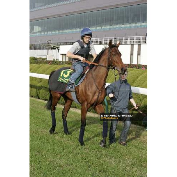 Claude Lenoir on Freedonia and her groom at Fuchu racecourse after morning trackworks Tokyo, 24th nov. 2006 ph.Stefano Grasso
