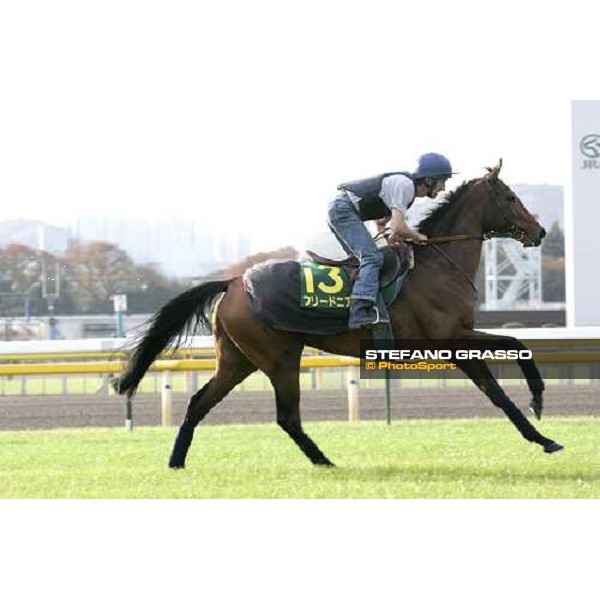 Claude Lenoir on Freedonia at Fuchu racecourse during morning trackworks Tokyo, 24th nov. 2006 ph.Stefano Grasso