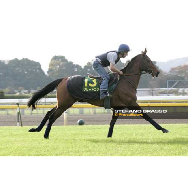 Claude Lenoir on Freedonia at Fuchu racecourse during morning trackworks Tokyo, 24th nov. 2006 ph.Stefano Grasso