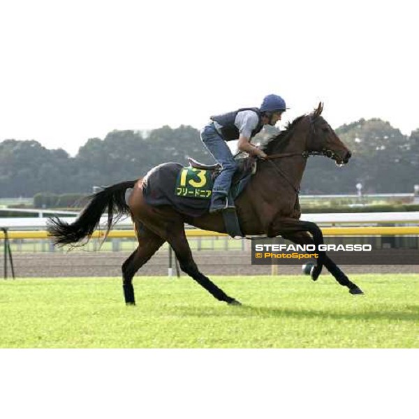 Claude Lenoir on Freedonia at Fuchu racecourse during morning trackworks Tokyo, 24th nov. 2006 ph.Stefano Grasso