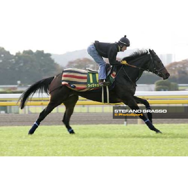 Jason Tate on Oujia Board at Fuchu racecourse during morning trackworks Tokyo, 24th nov. 2006 ph.Stefano Grasso