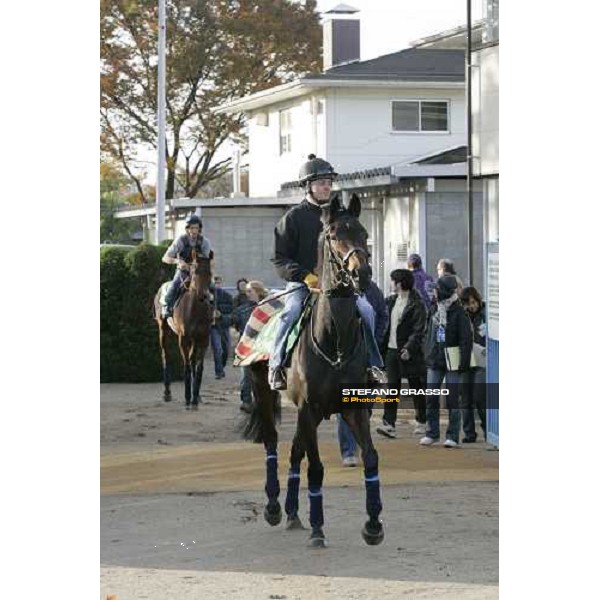 Jason Tate on Oujia Board exit from the quarantine stables at Fuchu racecourse for morning trackworks Tokyo, 24th nov. 2006 ph.Stefano Grasso