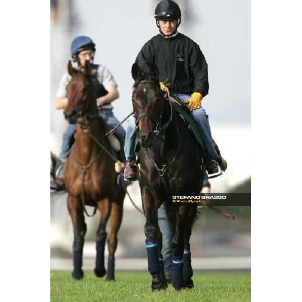 Jason Tate on Ouja Board followed by Claude Lenoir on Freedonia comes back after morning trackworks at Fuchu racecourse Tokyo, 24th nov. 2006 ph. Stefano Grasso
