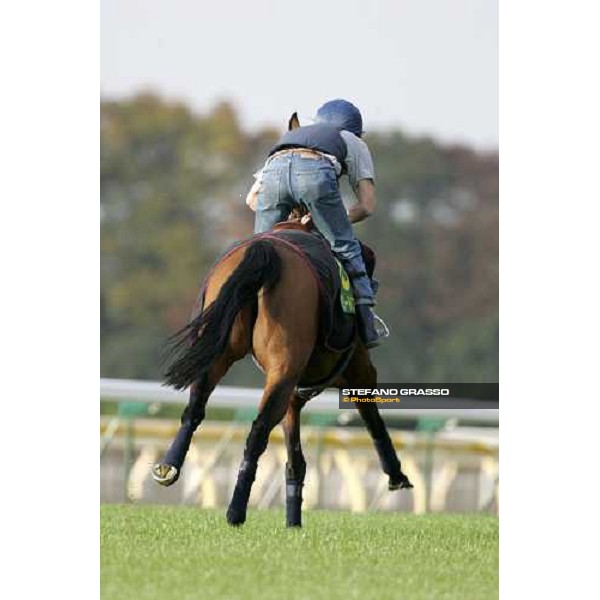 Claude Lenoir on Freedonia during the morning trackworks at Fuchu racecourse Tokyo, 24th nov. 2006 ph. Stefano Grasso