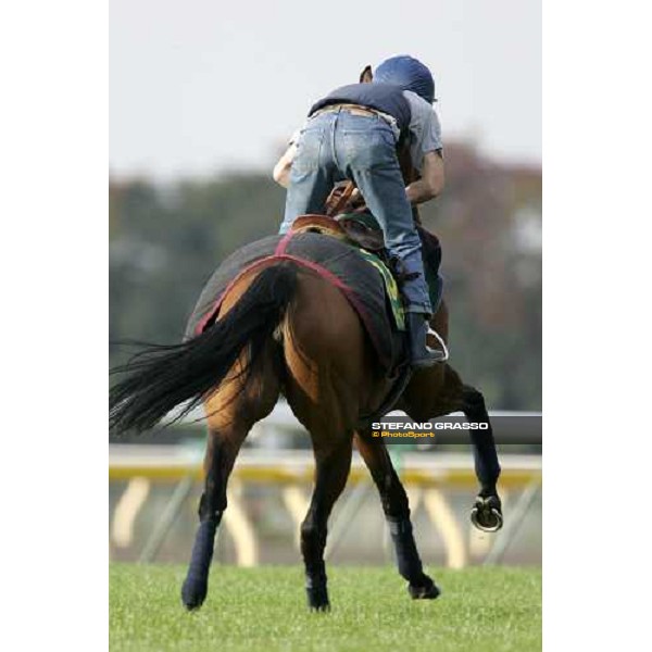 Claude Lenoir on Freedonia during the morning trackworks at Fuchu racecourse Tokyo, 24th nov. 2006 ph. Stefano Grasso