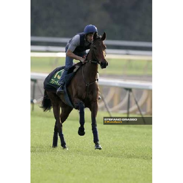 Claude Lenoir on Freedonia during the morning trackworks at Fuchu racecourse Tokyo, 24th nov. 2006 ph. Stefano Grasso