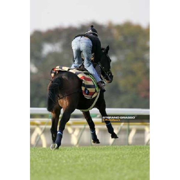 Jason Tate on Oujia Board during the morning trackworks at Fuchu racecourse Tokyo, 24th nov. 2006 ph. Stefano Grasso