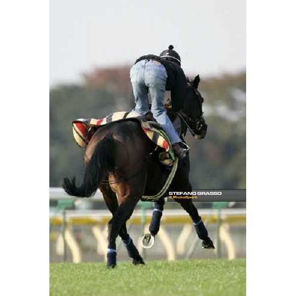 Jason Tate on Oujia Board during the morning trackworks at Fuchu racecourse Tokyo, 24th nov. 2006 ph. Stefano Grasso