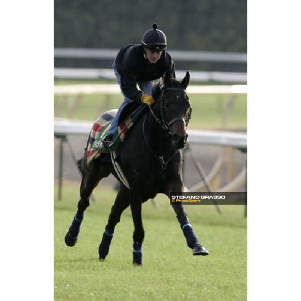 Jason Tate on Oujia Board during the morning trackworks at Fuchu racecourse Tokyo, 24th nov. 2006 ph. Stefano Grasso