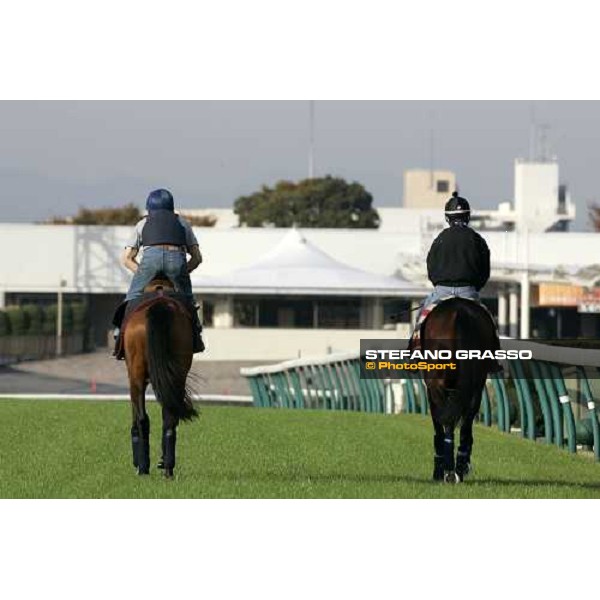 Claude Lenoir on Freedonia (left) and Jason Tate on Oujia Board preparing for the morning trackworks at Fuchu racecourse Tokyo, 24th nov. 2006 ph. Stefano Grasso