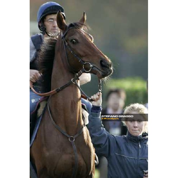 Claude Lenoir on Freedonia and her groom enter the track for the morning trackworks at Fuchu racecourse Tokyo, 24th nov. 2006 ph. Stefano Grasso