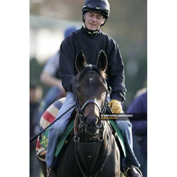 Jason Tate on Oujia Board enters the track for the morning trackworks at Fuchu racecourse Tokyo, 24th nov. 2006 ph. Stefano Grasso