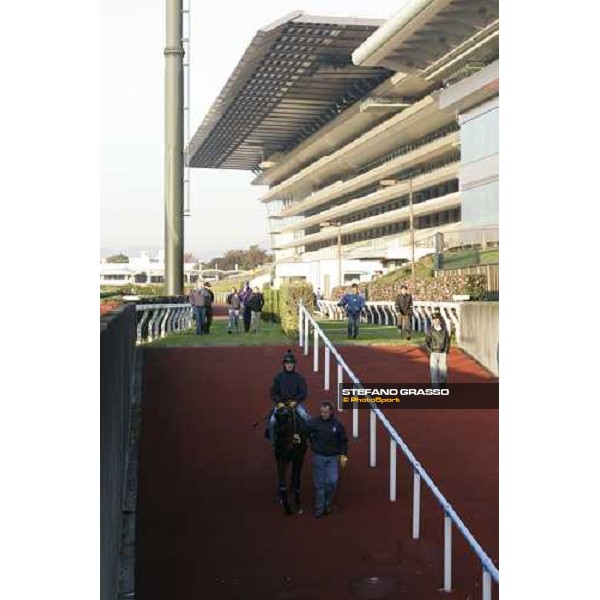 Oujia Board connection comes back to the quarantine stables after stretching on early sat. morning at Fuchu racecourse. Tokyo, 25th nov. 2006 ph. Stefano Grasso