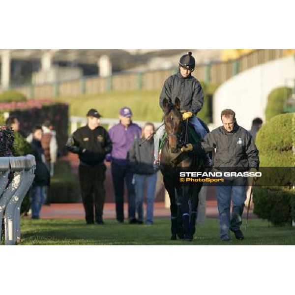 Jason Tate on Oujia Board accompained by Robin Trevor Jones and followed by Ed Dunlop and Lord Derby come back to the quarantine stable on sat. early morning after stretching at Fuchu racecourse. Tokyo, 25th nov. 2006 ph. Stefano Grasso