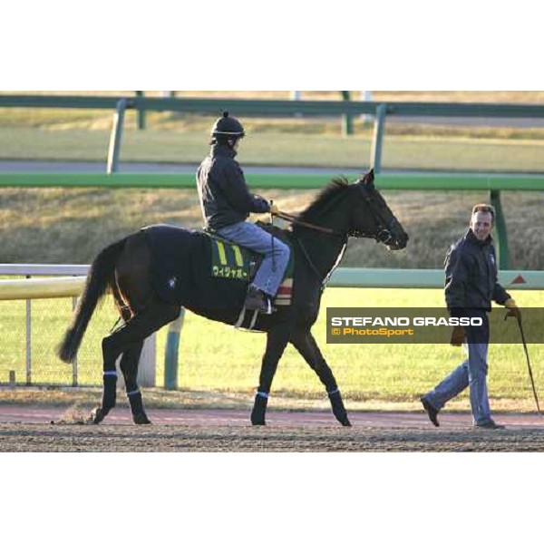 Jason Tate on Oujia Board accompained by Robin Trevor Jones comes back to the quarantine stable on sat. early morning after stretching at Fuchu racecourse. Tokyo, 25th nov. 2006 ph. Stefano Grasso