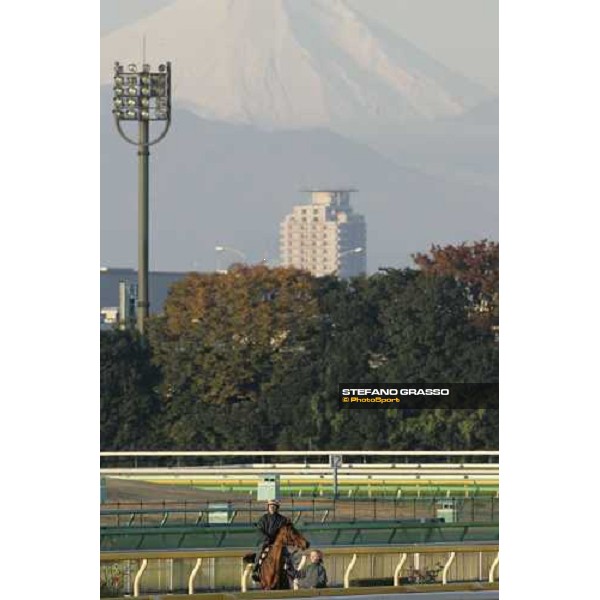 a view from Fuchu racecourse. Thierry Gillet on Freedonia and the mount Fuji on the background . Tokyo, 25th nov. 2006 ph. Stefano Grasso