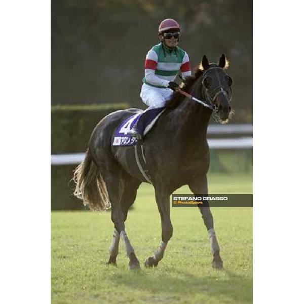 close up for Hiroki Goto on Alondite winners of Japan Cup Dirt Tokyo, 25th nov. 2006 ph. Stefano Grasso