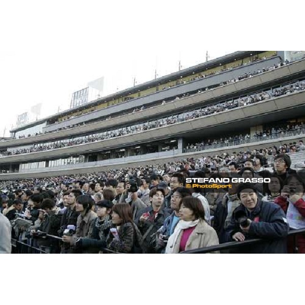racegoers look the horses of the Japan Cup Dirt parading in the paddock Tokyo, 25th nov. 2006 ph. Stefano Grasso