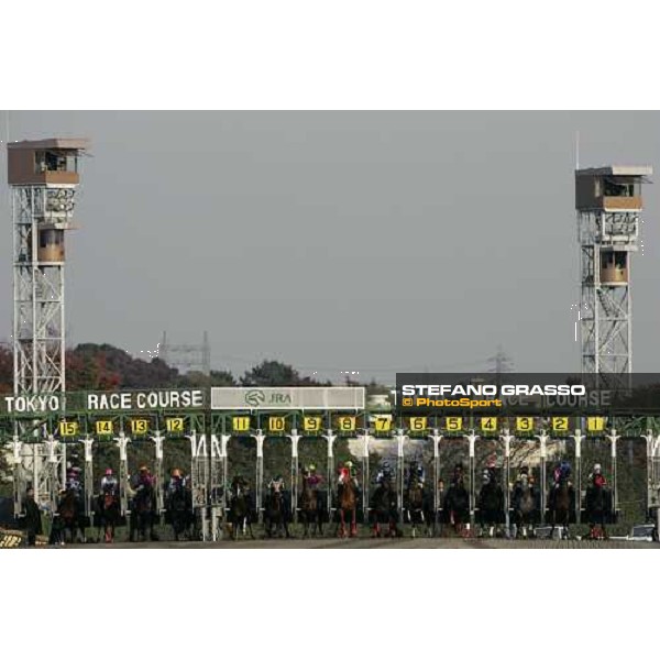 start of the Japan Cup Dirt Tokyo, 25th nov. 2006 ph. Stefano Grasso